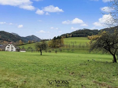 Ihr neues Domizil in Simonswald – Familienfreundlich, renoviert & mit Einliegerwohnung