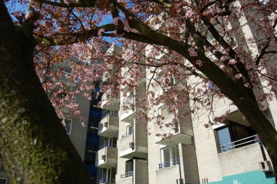 Schöne 2 Zimmer-Wohnung im Grünen