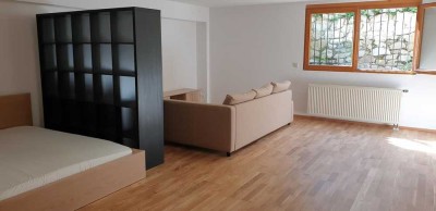 1-Zimmer Wohnung Souterrain ca. 49m² in 79418 Schliengen