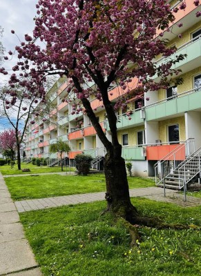 2-Raumwohnung mit Balkon