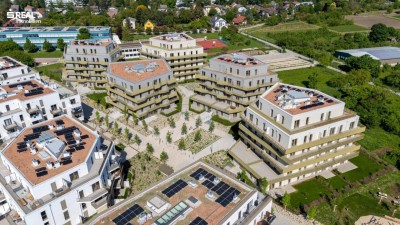 Hirschfeld - Ihr neues Zuhause im Grünen - anfragen, besichtigen, einziehen - 41 bis 96 m²