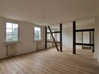 NEU - 3 Zimmer, Bad mit Wanne/Du in Wilkau-Haßlau zu vermieten!
