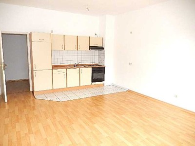 1 Raum Appartement mit eingebauter Küche, ca. 37,0 m²,  Dusche, Laminat, günstig, praktisch