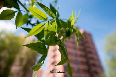 Gepflegte 2-Zimmer-Wohnung mit Balkon