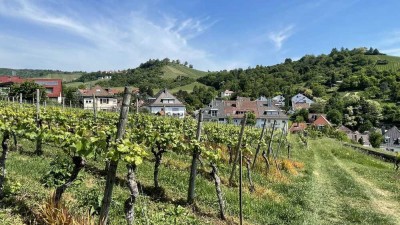 Provisionsfrei: charmante 4-Zi.-Whg. mit herrlichem Ausblick und eigenem Weinberg in idealer Lage