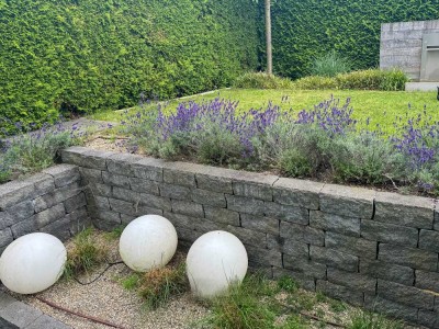 Eine hervorragende Gelegenheit-ein luxuriöses und ruhiges Zuhause in  Riedberg