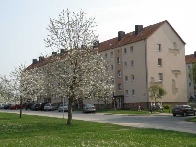 Sanierte 3-Raum-Whg. mit Balkon in der Süderstadt