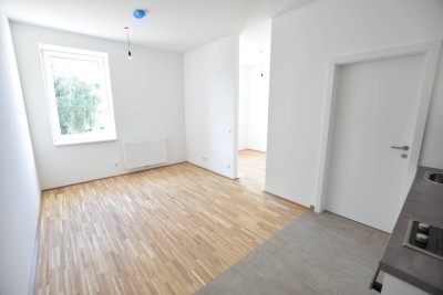 Schöne Kleinwohnung in saniertem Altbau - Linz Urfahr