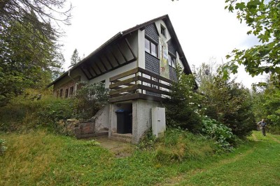 *Ein Traum in der Natur! - Großes Haus mit Grundstück in Auerbach/ Vogelsgrün*