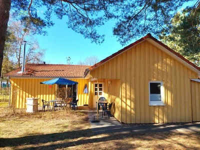 Modernes  und großzügiges Ferienhaus Möwe in attraktiver Lage