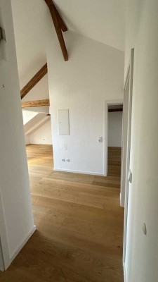 Exklusive 3-Raum-DG-Wohnung mit geh. Innenausstattung mit Dachterrasse und EBK