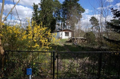 Hauptstadtmakler-Schönes Grundstück mit Wochenendhaus