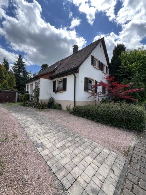 Grünes Paradies auf den Dächern von Donaueschingen