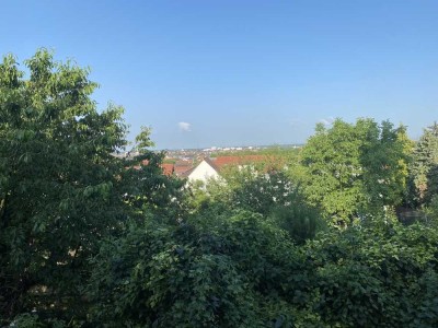 Traumhafte 4-Zimmer-Wohnung mit Blick über die Rheinebene - Erstbezug nach Sanierung.