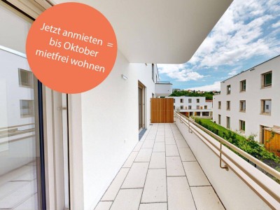 marena - Wohnen in Krems Haus 75b | 2-Zimmer-Wohnung mit Terrasse in Südlage