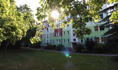 Hereinspaziert! 3 Zimmer, Balkon und Bad mit Dusche