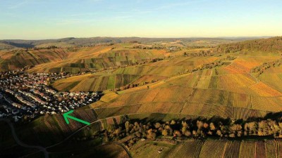 Gehobene Doppelhaushälfte an den Weinbergen - mit Wintergarten und offenem Kamin!