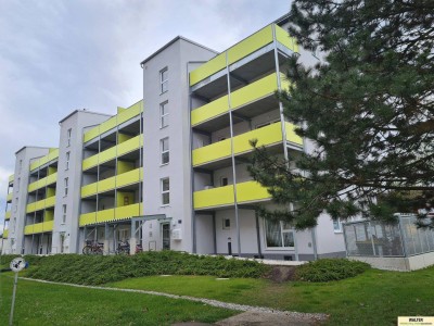 Mietwohnung Neubau 3 Zimmer