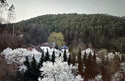 Villa in der malerischen Pfalz, im Städtedreieck Bad Dürkheim-Neustadt-Kaiserslautern