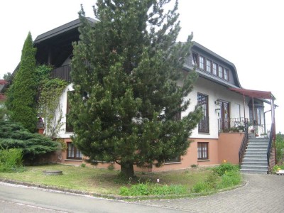 Schöne Zweizimmerwohnung im Grünen zu vermieten