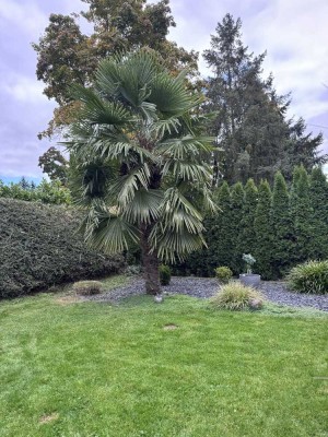 Gepflegtes Einfamilienhaus incl. hochwertiger Einbauküche!