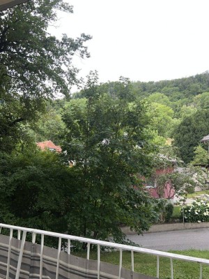 adrette 2 Zi-Wohnung mit Lift + Balkon in Graz-Wetzelsdorf - sonnig und ruhig