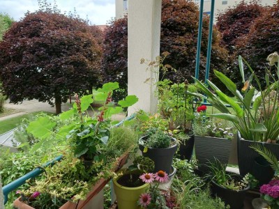 Seltene Gelegenheit im Gartenviertel - zentral, ruhig, wenige Gehminuten zum Marktplatz
