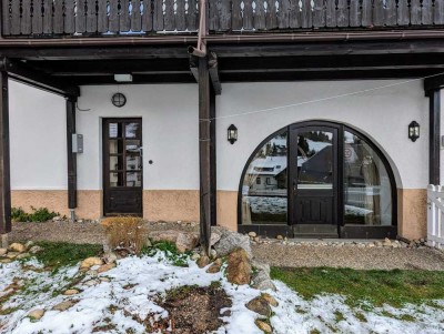 Schöne 1-Raum-Erdgeschosswohnung in Feldberg (Schwarzwald)