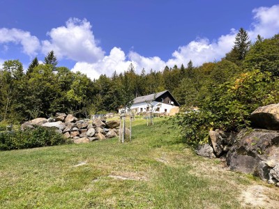 Ferien-Wohntraum versteckt auf 2ha Naturidylle im Böhmerwald
