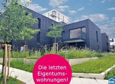 Wildgarten