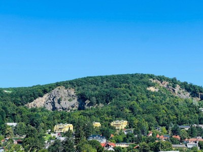 ++ GRÜN. RUHIG. WEITBLICK. ++ ZWEI Zimmer Gartenwohnung zum Verlieben