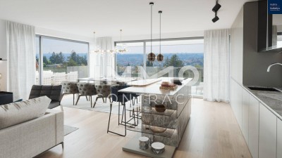 INVESTIEREN SIE IN IMMOBILIEN !DACHTERRASSENTRAUM am SCHAFBERG !