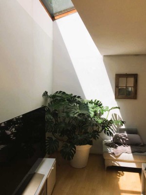 Ausgefallene Atelierwohnung
