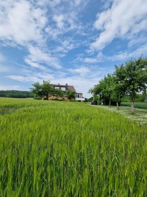 2,5 Zimmer im 1 OG. mit Küche, Bad, teilmöbliert, grosser Balkon, Garten  ** Ruhig  **