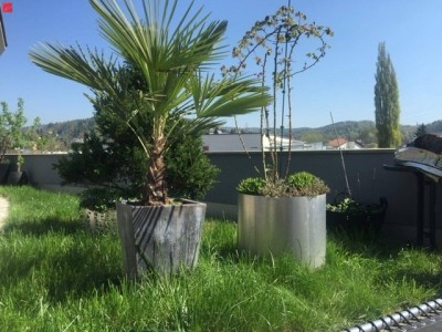 NEUER PREIS: Zentraler Wohntraum mit großzügiger Terrasse