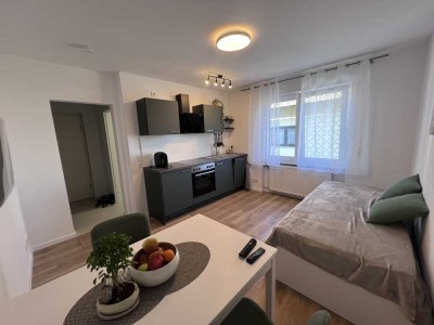 Erstbezug nach Sanierung: attraktive 1-Zimmer-Wohnung mit EBK in Dreieich