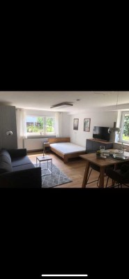Kernsanierte Möblierte stilvolle 1-Zimmer-Wohnung in Bernhausen