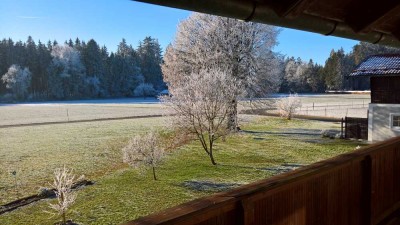 Freundliche und neuwertige 3-Zimmer-Wohnung mit o. ohne EBK in Forst bei Altenmarkt