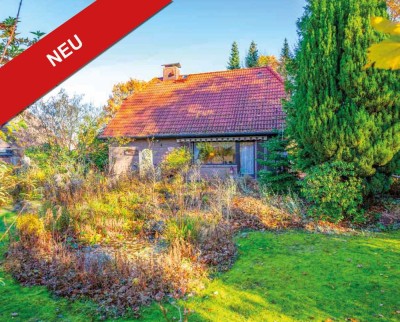 ! Neu ! Einfamilienhaus mit Keller und großem Grundstück in 22958 Kuddewörde