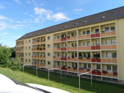 Preisgünstige kleine Wohnung in Auerbach