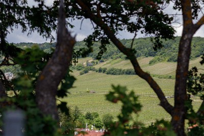 Schickes Apartment mit Traumblick in die Neustifter Weinberge