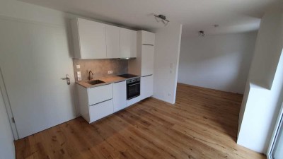 Neue 1-Zimmer-Wohnung mit großer Terrasse in Freiberg am Neckar