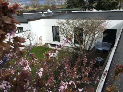 Ruhig gelegener, innenstadtnaher Bungalow mit sieben Zimmern und kleinem Garten in der Nordstadt