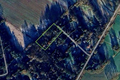 Ein Haus im "Wunderwald" nahe Eurostrand