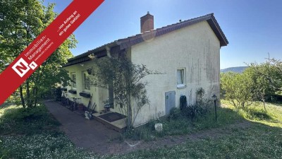 Neuer Preis - Einfamilienhaus in Split-Level-Architektur im beliebten Wohngebiet Steinborn