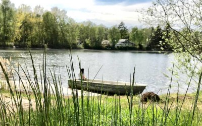 Ruhige Wohnung im Grünen ++ Seenähe