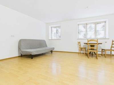 Freistehende 1-Zimmer-Wohnung in Best-zustand mit perfekter  Anbindung und nahe Natur
