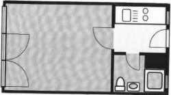 Stilvolle 1-Zimmer  Hochparterre-Wohnung für Studierende in Heidelberg