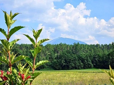 Das Leben genießen in Kärnten