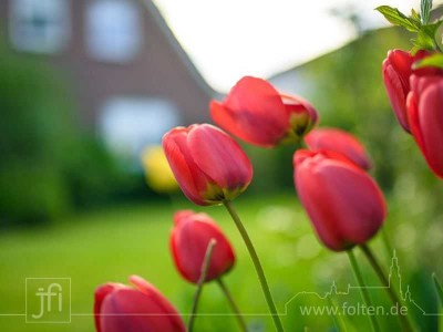Gemütliches Einfamilienhaus und großes, vielseitig nutzbares Grundstück